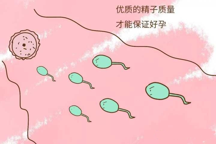 پԹӤ