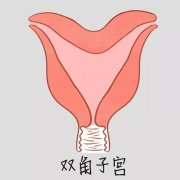 ˫ӹԹӤ