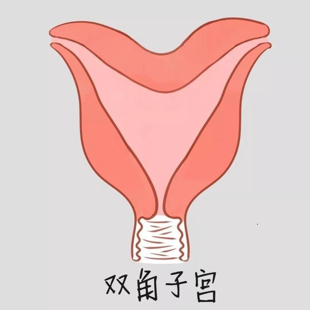 ˫ӹԹӤ